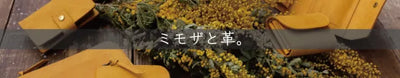 ミモザと革。バケッタレザー・1000年前の革なめし